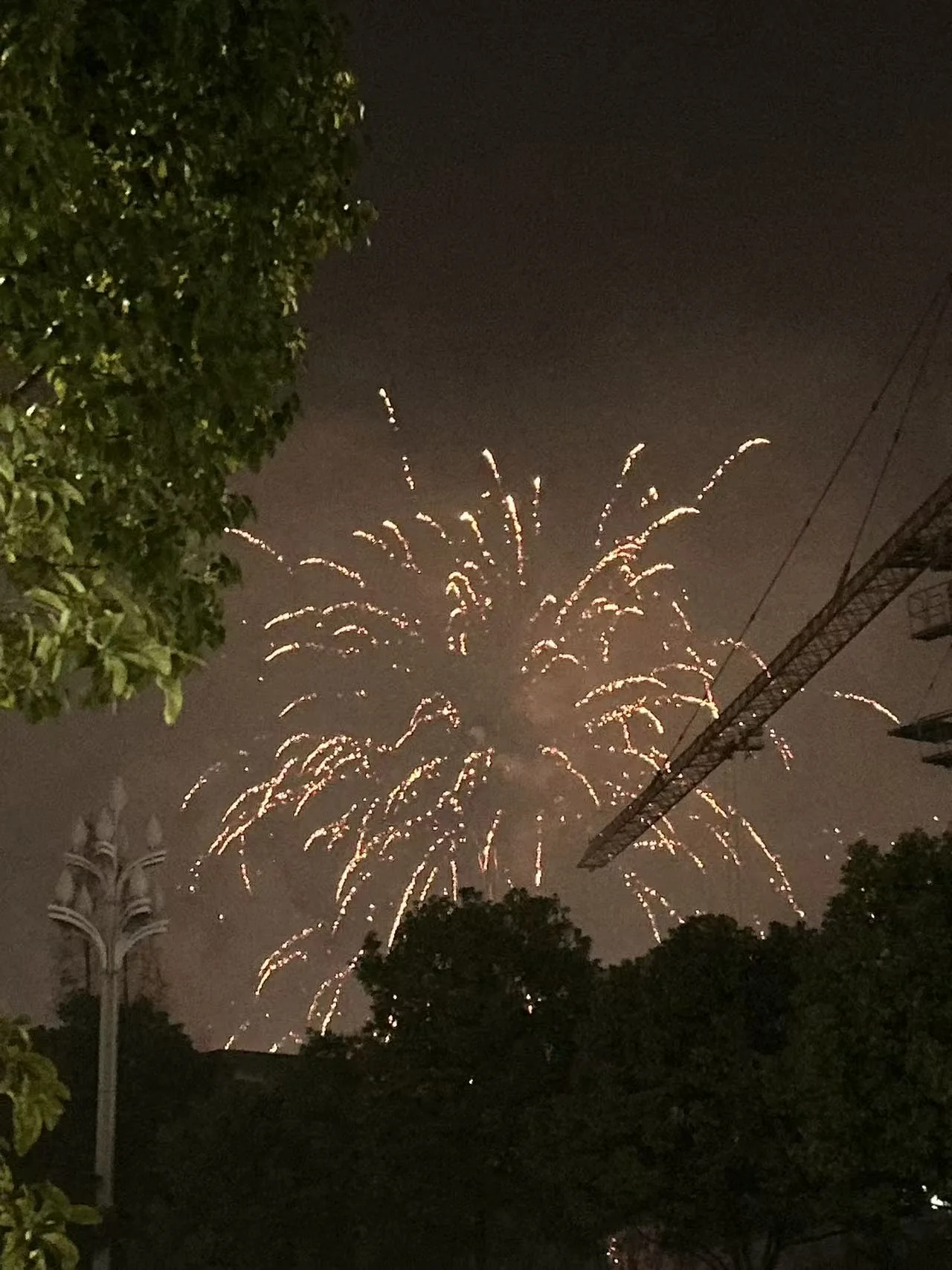 夜空里绽开的烟花