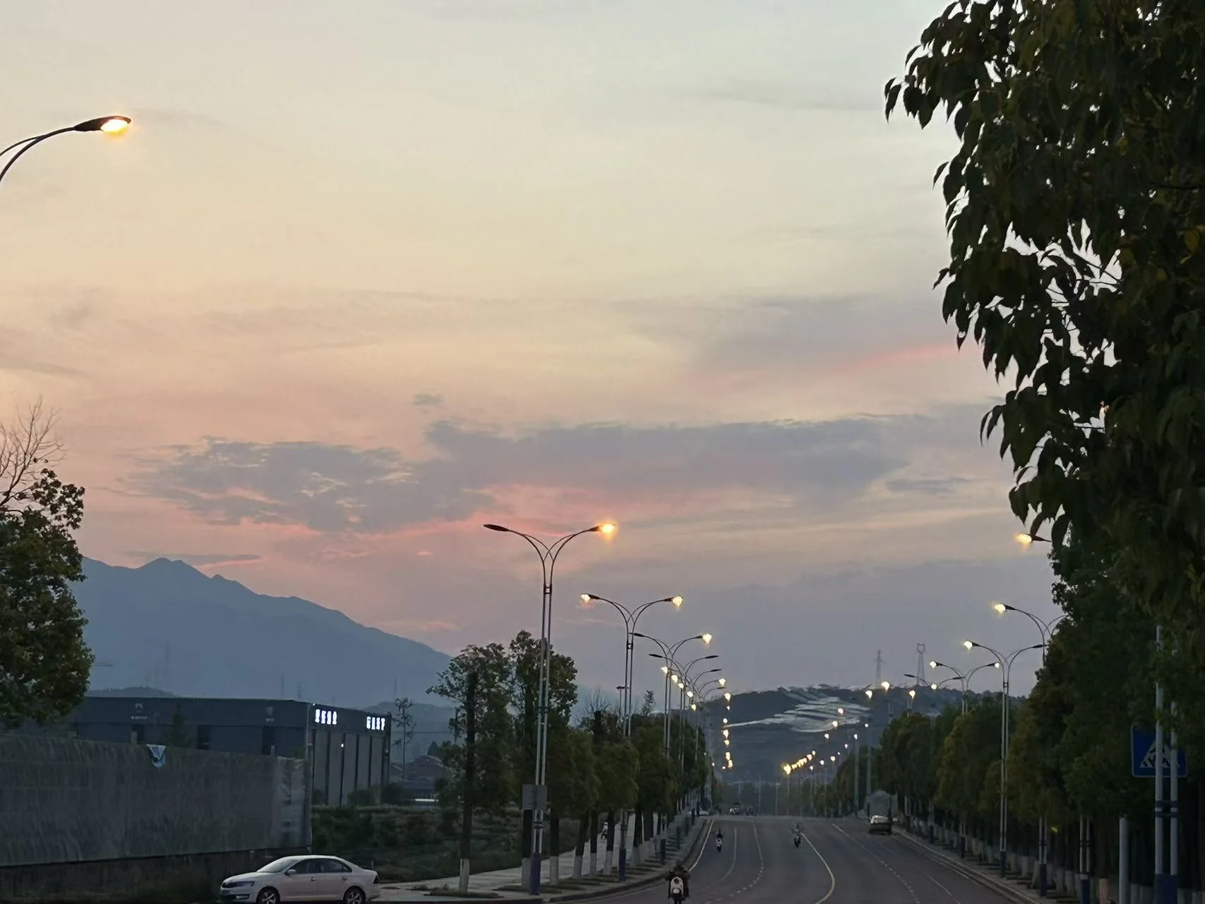 树梢旁的粉色晚霞
